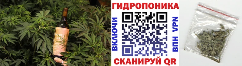 как найти закладки  Терек  Canna-Cookies марихуана 