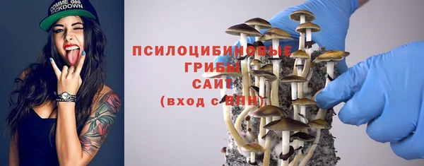 стаф Алексин