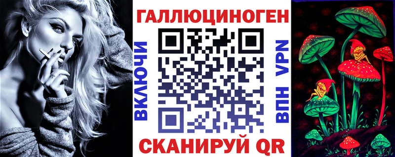 закладки  Терек  Галлюциногенные грибы мицелий 
